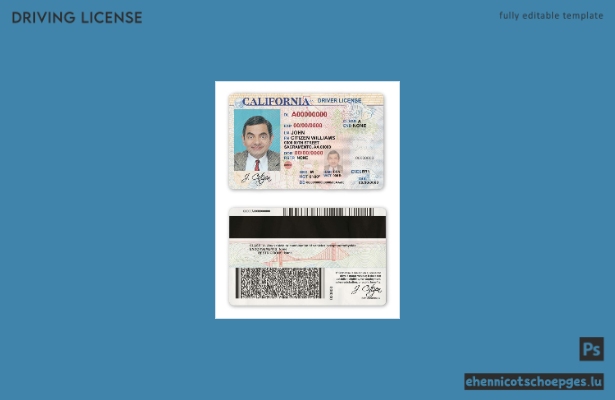 USA, Kalifornien: Beispielansicht des Führerscheins